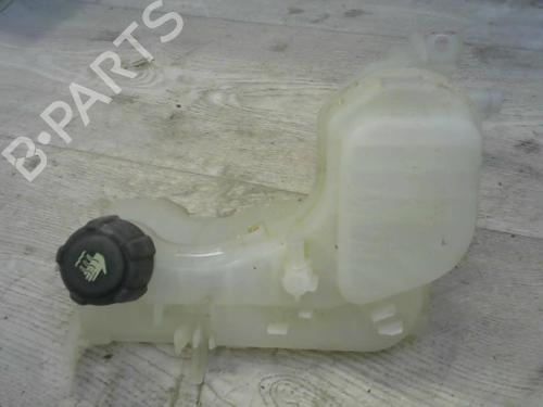Used Expansion tank RENAULT LAGUNA III (BT0/1) 2.0 dCi (BT07, BT0J, BT14, BT1A, BT1S) (131 hp) 28777822