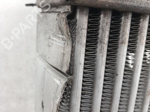 Intercooler PEUGEOT 208 II (UB_, UP_, UW_, UJ_) 1.5 BlueHDI 100 | BP28733970M30