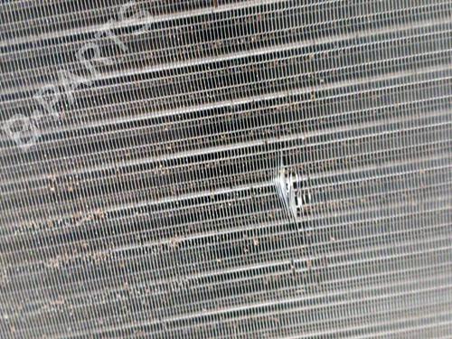 Køler VW GOLF V (1K1) 1.9 TDI | BP28766670M31