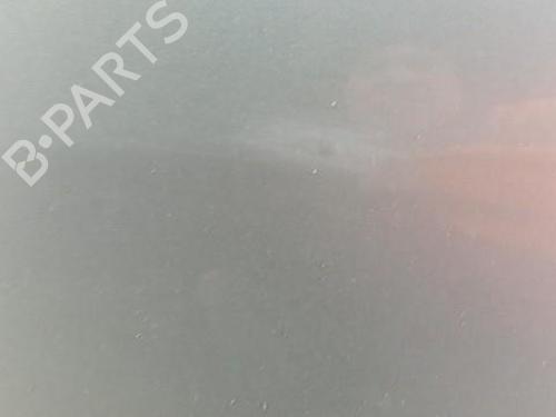 Used Left front door RENAULT SCÉNIC III (JZ0/1_) 1.9 dCi (JZ0J, JZ1J, JZ1K, JZ1S) (131 hp) 28784268