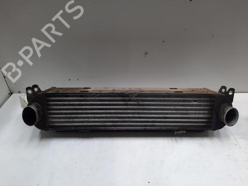 Used Intercooler LAND ROVER RANGE ROVER SPORT I (L320) 2.7 D 4x4 (190 hp) 28764148