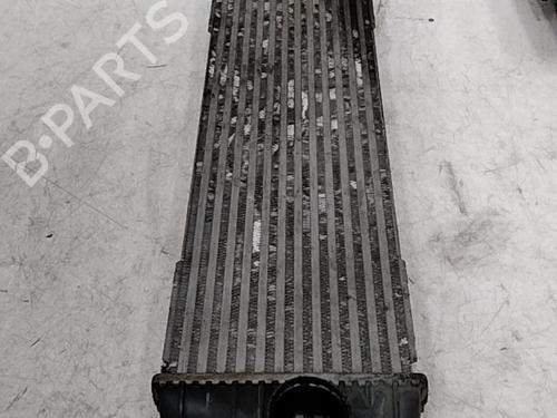 Intercooler RENAULT TRAFIC II Van (FL) 1.9 dCi 80 (FL0B) | BP28763088M30