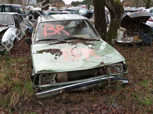 Used Parts RENAULT 18 (134_)  1.4 (1340)  4514193