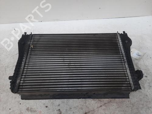 Used Intercooler Intercooler VW PASSAT B6 (3C2) 2.0 TDI 16V (140 hp) 28748096 28748096