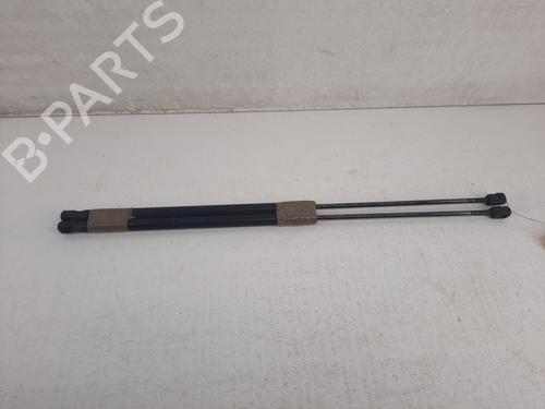 Tailgate lift support RENAULT MEGANE III Coupe (DZ0/1_) 1.9 dCi (DZ0N, DZ0J, DZ1J, DZ1K) | BP28773225C138 