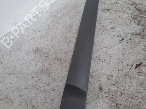 Door moulding trim RENAULT SCÉNIC II (JM0/1_) 1.6 16V (JM1R) | BP28790321C150 