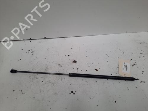 Used Hood lift support RENAULT MEGANE III Grandtour (KZ0/1) 1.5 dCi (KZ09, KZ0D, KZ1G, KZ29, KZ14, KZ1W, KZ10, KZ1F,... (110 hp) 28769145
