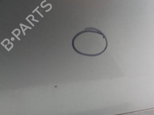 Left front door RENAULT SCÉNIC III (JZ0/1_) 1.9 dCi (JZ0J, JZ1J, JZ1K, JZ1S) | BP28784268C2 