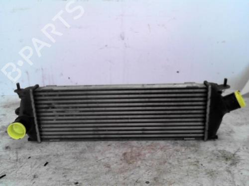 Used Intercooler RENAULT TRAFIC II Van (FL) 2.0 dCi 115 (FL01, FL0U, FL00, FL0H, FL0M) (114 hp) 28777433