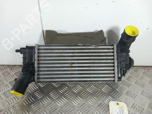 Used Intercooler Intercooler FORD FIESTA VII (HJ, HF) 1.0 EcoBoost (95 hp) 28768022 28768022