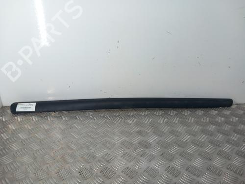 Used Door moulding trim PEUGEOT 207 (WA_, WC_) 1.4 HDi (68 hp) 31095463