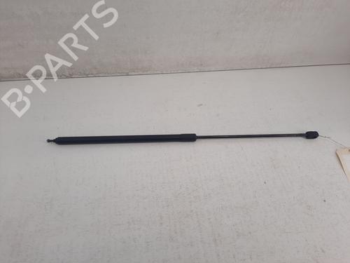 Used Hood lift support RENAULT MEGANE III Coupe (DZ0/1_) 1.9 dCi (DZ0N, DZ0J, DZ1J, DZ1K) (131 hp) 28773226