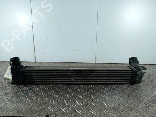 Intercooler RENAULT MEGANE III Grandtour (KZ0/1) 1.5 dCi (KZ09, KZ0D, KZ1G, KZ29, KZ14, KZ1W, KZ10, KZ1F,... | BP28734716M30 