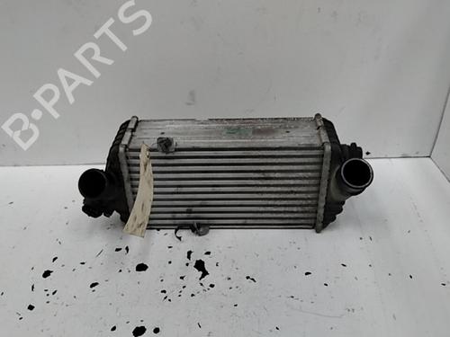Used Intercooler HYUNDAI i20 I (PB, PBT) 1.1 CRDi (75 hp) 28776282