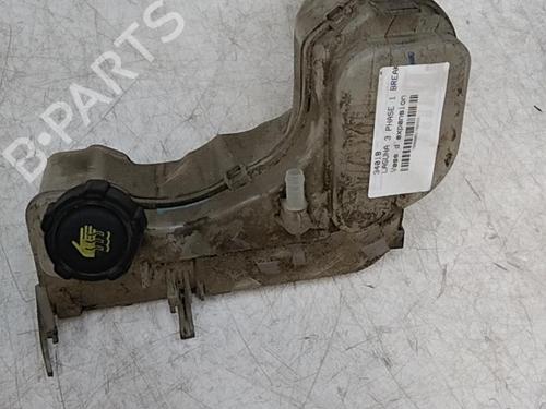 Used Expansion tank RENAULT LAGUNA III Grandtour (KT0/1) 2.0 dCi (KT01, KT08, KT09, KT0K, KT12, KT1D, KT1W) (150 hp) 28789656