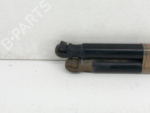 Tailgate lift support CITROËN C4 Picasso I MPV (UD_) 1.6 HDi | BP28788597C138 