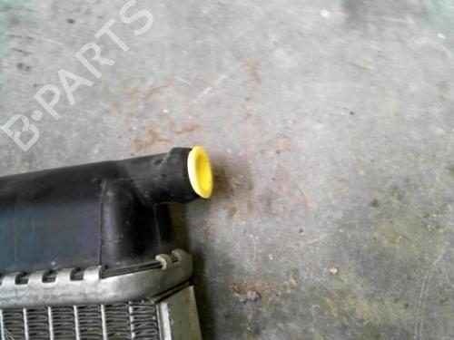 Used Water radiator Water radiator PEUGEOT 206 Van [1999-2009] 31669795 31669795