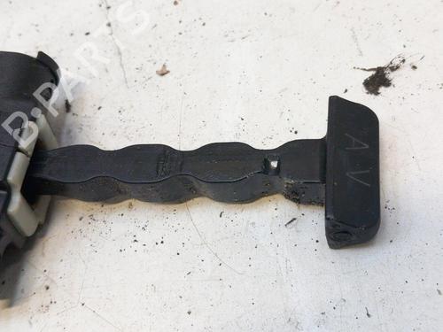 Hinge/Door check strap PEUGEOT 3008 II SUV (MC_, MR_, MJ_, M4_) 2.0 BlueHDi 150 (MJAHXH, MJAHXV, MJAHXG, MJAHSH, MJAHRH,... | BP28767378C146 