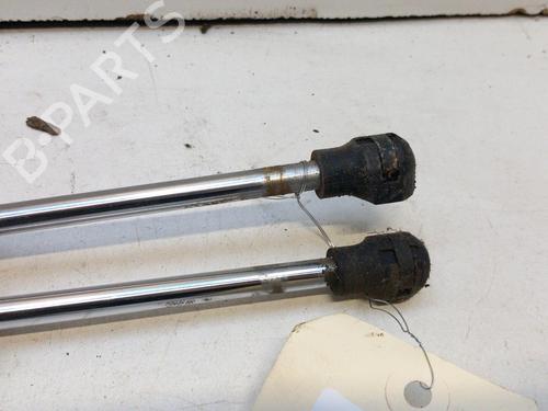 Used Hood lift support RENAULT ZOE (BFM_) ZOE (88 hp) 28767276