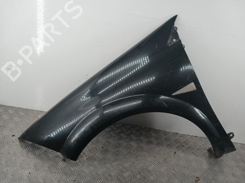 Used Left front fenders RENAULT MEGANE II (BM0/1_, CM0/1_) 1.5 dCi (BM1E, CM1E) (106 hp) 31770066
