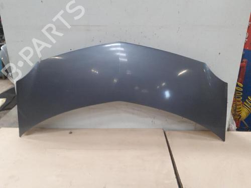 Hood RENAULT MODUS / GRAND MODUS (F/JP0_) 1.5 dCi (FP0F, JP0F) | BP28791884C1 