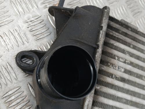 Intercooler NISSAN PRIMASTAR Van (X83) 2.0 dCi 115 | BP36446054M30 - Image 3