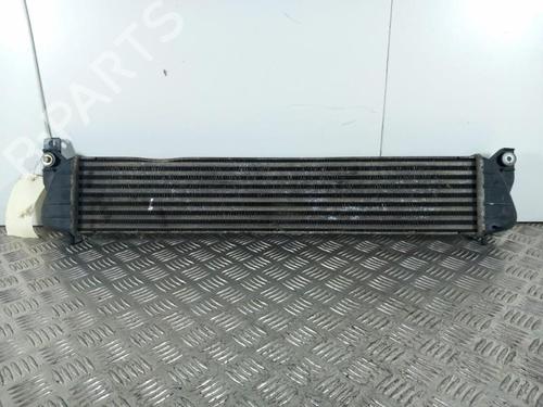 Used Intercooler FIAT SEDICI (189_) 1.9 D Multijet 4x4 (120 hp) 28740723