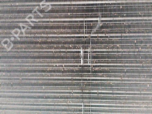 Køler VW GOLF V (1K1) 1.9 TDI | BP28766670M31