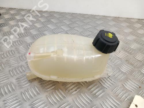 Used Expansion tank RENAULT CLIO V (B7_) 1.6 E-TECH 140 (B7MU) (140 hp) 28780058