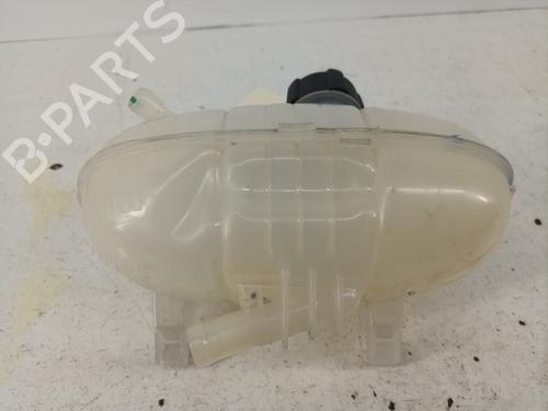 Used Expansion tank RENAULT TRAFIC III Van (FG_) 1.6 dCi 125 (FGMH) (125 hp) 28735884