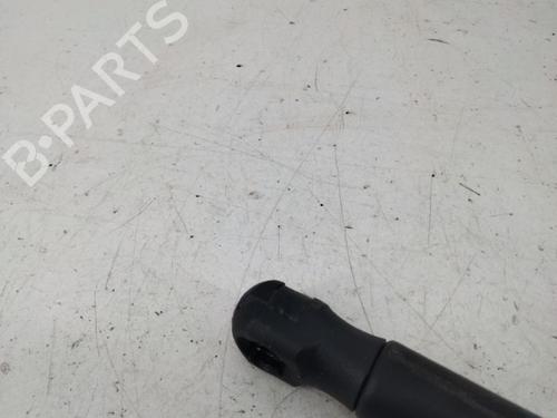 Tailgate lift support PEUGEOT 107 (PM_, PN_) 1.0 | BP28781070C138