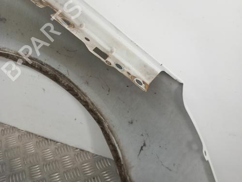 Left front fenders CITROËN C4 II (NC_) 2.0 HDi / BlueHDi 150 | BP29200342C41 