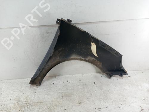 Left front fenders RENAULT SCÉNIC III (JZ0/1_) 1.5 dCi | BP28781159C41 