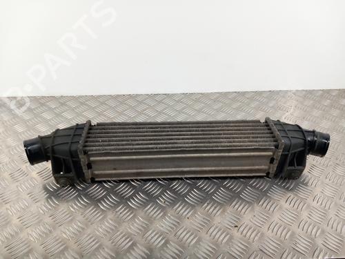 Intercooler RENAULT TRAFIC III Van (FG_) 1.6 dCi 125 (FGMH) | BP28782535M30 