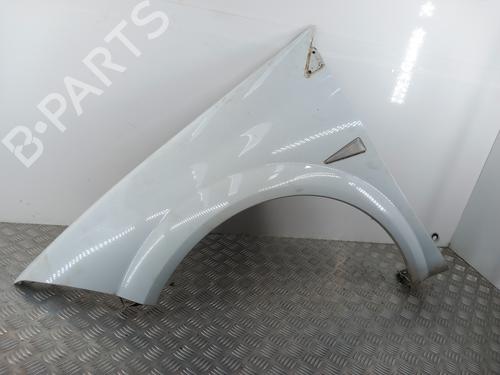 Used Left front fenders RENAULT MEGANE II Estate (KM0/1_) 1.5 dCi (KM02, KM13) (101 hp) 28756959