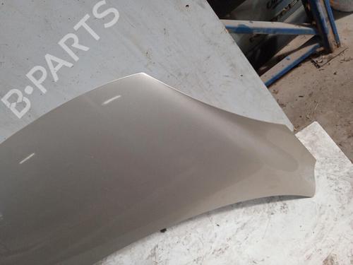 Used Hood RENAULT GRAND SCÉNIC III (JZ0/1_) 1.9 dCi (JZ0J, JZ0N, JZ1K, JZ1S) (131 hp) 28752593