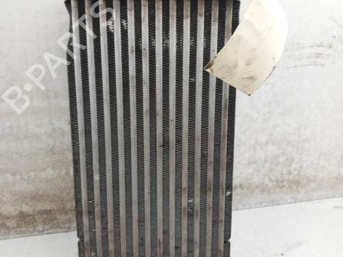 Used Intercooler PEUGEOT 208 II (UB_, UP_, UW_, UJ_) 1.5 BlueHDI 100 (102 hp) 28733970