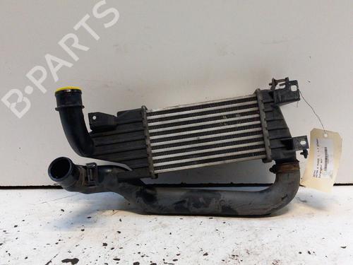 Intercooler OPEL ASTRA H (A04) 1.7 CDTI (L48) | BP28779075M30