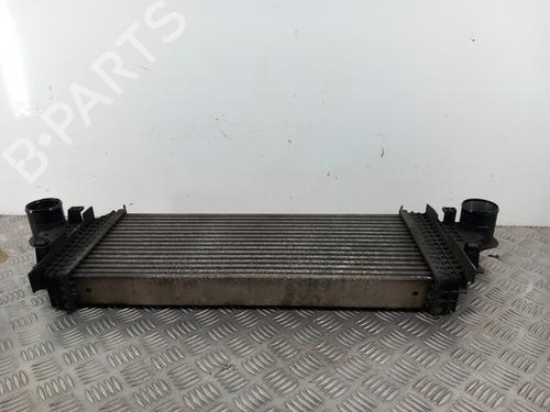 Used Intercooler Intercooler MERCEDES-BENZ M-CLASS (W164) ML 320 CDI 4-matic (164.122) (224 hp) 29625160 29625160