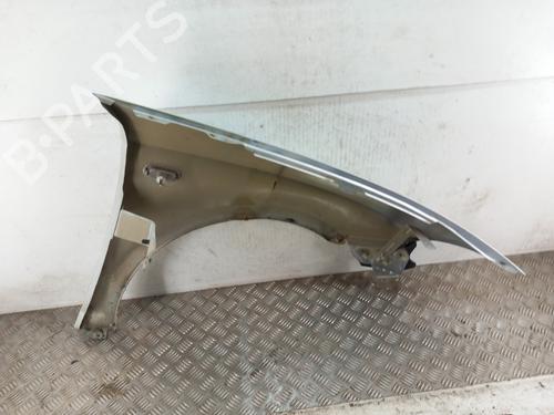 Left front fenders SEAT ALTEA (5P1) 1.9 TDI | BP28735058C41 