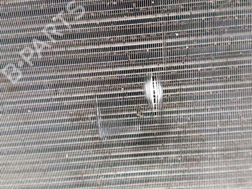 Køler VW GOLF V (1K1) 1.9 TDI | BP28766670M31