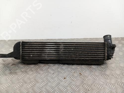 Intercooler SSANGYONG KORANDO (CK) 2.0 e-XDi | BP28742291M30 
