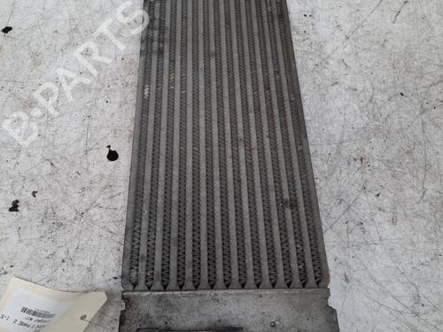 Intercooler RENAULT MEGANE II (BM0/1_, CM0/1_) 1.5 dCi (BM1E, CM1E) | BP28789680M30 