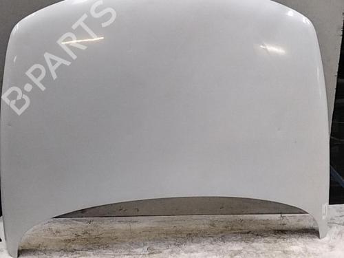 Hood RENAULT LAGUNA I (B56_, 556_) 2.2 dT (B569) | BP28769875C1 