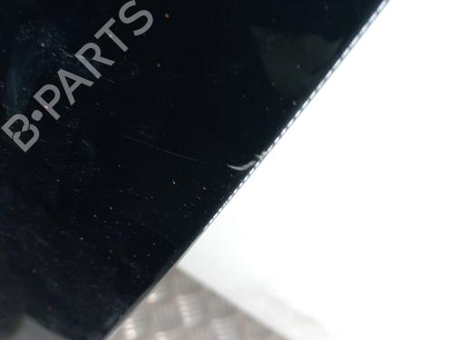 Left front door PEUGEOT 1007 (KM_) 1.4 HDi | BP28739541C2