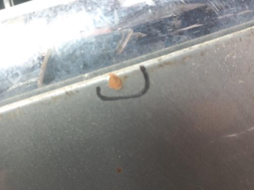 Used Hood Hood JAGUAR X-TYPE I Estate (X400) 2.0 D (130 hp) 28742505 28742505