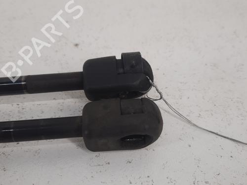 Tailgate lift support RENAULT MEGANE III Coupe (DZ0/1_) 1.9 dCi (DZ0N, DZ0J, DZ1J, DZ1K) | BP28773225C138 