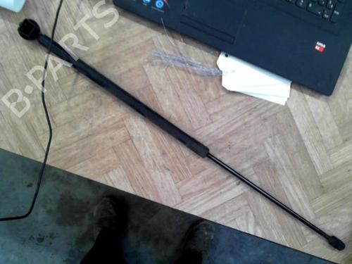 Used Hood lift support RENAULT MEGANE III Hatchback (BZ0/1_, B3_) 1.5 dCi (106 hp) 28777657