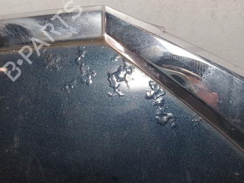 Hood CITROËN C5 III (RD_) 2.0 HDi 140 (RDRHF8, RDRHFA, RDRHA8, RDRHAJ) | BP31824635C1