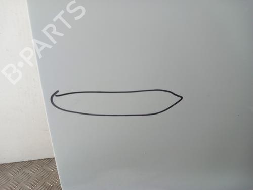 Right slide door DACIA DOKKER MPV (KE_) 1.2 TCe (KEM0, KEAY) | BP29528619C75 